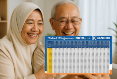 BRIGuna Purna 2025, Solusi Pinjaman Hingga Rp500 Juta untuk Pensiunan, Cek Syarat dan Promonya!