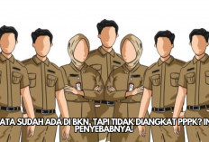 Belum Diangkat PPPK, tapi Data Sudah Ada di BKN? Ternyata Ini Penyebabnya