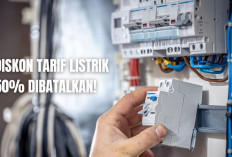 Pemerintah Batalkan Diskon Tarif Listrik dan Alihkan ke BSU, Netizen: Dasar PHP!