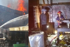 Kompor Lupa Dimatikan, Lapak Barang Bekas & Mes Karyawan di Penjaringan Ludes Dilalap Api!