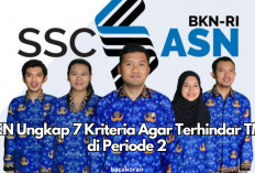 Calon Pelamar PPPK 2024 Wajib Tahu! BKN Ungkap 7 Kriteria Agar Terhindar TMS di Periode 2