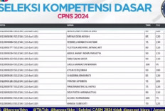 Inilah Link dan Cara Memantau Live Score Hasil SKD CPNS 2024 di Seluruh Indonesia, Pelamar Wajib Tau!