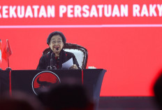 Megawati Siap Mengumumkan Cagub Jakarta 2024, Djarot : Sabar Sedikit, Tunggu 1 Atau 2 Hari Lagi...