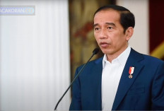 Jokowi Prioritaskan Investor Dalam Negeri, Untuk Pembangunan IKN 