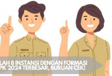 Daftar 8 Instansi Pemerintah dengan Formasi PPPK 2024 Terbesar, Cek Disini Rinciannya!