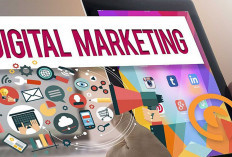 Begini Strategi Sukses dalam Pemasaran Digital, Maksimalkan SEO dan Media Sosial
