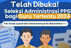 Ayo Persiapkan! PPG Guru Tertentu 2025 Masih Terbuka Hingga 20 Desember, Begini Caranya Verifikasi Data 