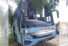 Tragis! Ibu dan Anak Tewas dalam Kecelakaan Bus di Batanghari, Begini Kronologinya 