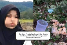 Ternyata Terduga Pelaku yang Menghabisi Nia Kurnia Sari Sempat Membeli Gorengan dan Membuntuti Korban...