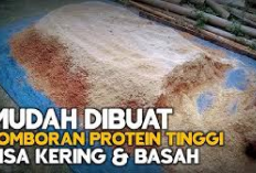 Cara Membuat Pakan Comboran Sapi Bergizi Tinggi, Peternak Wajib Tau! Berikut Resep Racikan Bahan Bakunya