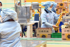 Jelang Lebaran, Swasta Didorong WFA! Gimana Nasib Pegawai Ritel dan Pabrik?