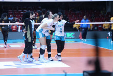 Proliga 2026 Masih Buka Lowongan Peserta Final Four, 4 Tim Putri Ini Siap Bersaing