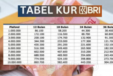 Gak Perlu Ribet! Ini Tabel Angsuran KUR BRI 2025 untuk Pinjaman Rp100 Juta & Cara Ajukannya