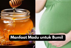 Bumil, Ini 5 Manfaat Madu yang Bikin Kamu Tetap Sehat Saat Hamil!