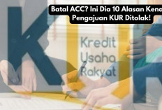 Batal ACC? Ini Dia 10 Alasan Kenapa Pengajuan KUR Ditolak!