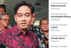 Viral! Gibran Rakabuming Didesak Jujur Tanggapi Akun Fufufafa Karena Bukti Mengejutkan Ini... 