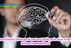 Hipotalamus Pusat Kehidupan dalam Otak Manusia, Memahami Peran Kunci Hipotalamus dalam Hubungan dan Komunikasi