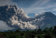 Gunung Merapi Siaga! 88 Guguran Lava Terjadi dalam Sepekan, Waspadai Awan Panas hingga 7 KM
