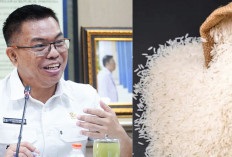 Bantuan Beras Gratis untuk 18,2 Juta KPM Siap Digelontorkan Awal Juli 2025, Begini Mekanismenya!