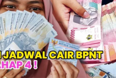 Bikin KPM Panik! Status PKH dan BPNT Berubah Jadi Tidak di Cek Bansos 2026, Ini Penjelasannya