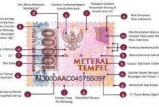 H-3 Ditutup, Ini Panduan Pasang Meterai Tempel Untuk Berkas CPNS 2024,  Jangan Sampai Kena Diskualifikasi!