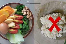 Cuma Makan Sayur Saja! Apa yang Akan Terjadi jika Kita Tidak Makan Nasi 1 bulan? yuks, Simak Penjelasannya