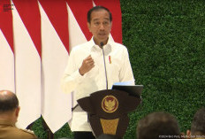 Presiden Jokowi Kumpulkan Kepala Daerah di IKN, 35 Tidak Hadir, Mendagri Tito Ungkap Beragam Alasannya!