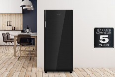 3 Rekomendasi Kulkas 1 Pintu Terbaik 2025: Hemat Listrik, Murah, dan Bikin Dapur Makin Stylish!