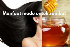 7 Manfaat Madu untuk Rambut, Bikin Rambut Sehat dan Berkilau!