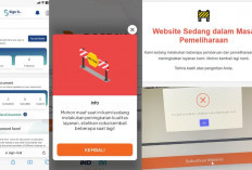 Kacau! Situs e-Materai Eror di Minggu Terakhir Pendaftaran CPNS, Netizen Geram dan Sebut Peruri Gagal Total...