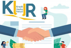 KUR Ditolak Karena Apa? Ini Penyebab Paling Umum dan Cara Menghindarinya