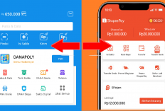 7 Langkah Mudah Cara Kirim Saldo DANA ke ShopeePay dan Sebaliknya 100 Persen Berhasil Tanpa Ribet!