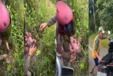 Bayi Baru Lahir Dibuang di Semak-semak di Tepi Jalan, Ditemukan Tetesan Darah di Aspal