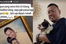 Miris! Uya Kuya Masih Sibuk Cari 3 Kucing Hilang dan Foto Pernikahan Raib Dijarah: Tolong Kembalikan