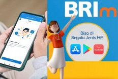 Cara Buka Rekening BRI Online 2025 Lewat HP, Cepat dan Praktis Tanpa ke Bank