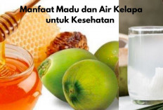 5 Manfaat Madu dan Air Kelapa untuk Kesehatan yang Harus Kamu Tahu!