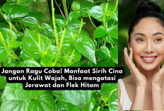 Jangan Ragu Coba! Manfaat Sirih Cina untuk Kulit Wajah, Bisa Mengatasi Jerawat dan Flek Hitam, Kuy Cobain...