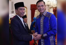 Jokowi Umumkan Reshuffle, Demokrat Masuk Kabinet. AHY Digadang Menteri Pertanian?