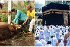 Tidak Mampu Ibadah Haji, Pilih Kurban Meraih Pahala Yang Sama, Berikut Amalannya!
