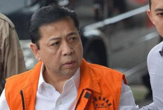 Dibebaskan Bersyarat, Kini Setya Novanto Digugat, Desak Setnov Harus di Penjara Lagi!