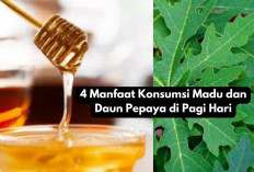 4 Manfaat Luar Biasa Konsumsi Madu dan Daun Pepaya di Pagi Hari, Nomor 3 Bikin Kaget!