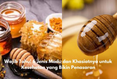 Wajib Tahu! 6 Jenis Madu dan Khasiatnya untuk Kesehatan yang Bikin Penasaran