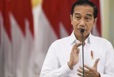 Jokowi Resmi Melarang Iklan Makanan Siap Saji, Apa Sih Penyebabnya?