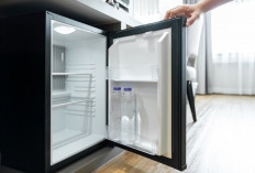 4 Rekomendasi Kulkas Mini Terbaik yang Awet, Cocok Banget untuk Anak Kos Nih! 