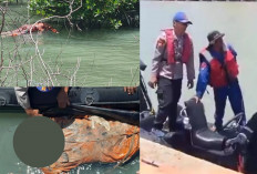 Geger! Penemuan Tengkorak Berbalut Wearpack di Hutan Bakau dalam Keadaan Mengenaskan, Tewas Saat Bertugas?