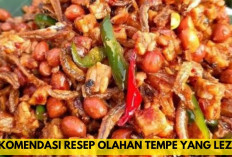 Auto Ketagihan! 3 Resep Olahan Tempe yang Simple Tapi Bikin Nagih... 