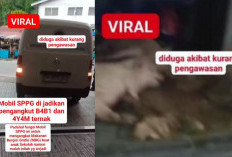 Viral Mobil Berlogo BGN Angkut Babi di Nias Selatan, Ini Langkah Tegas Lembaga
