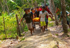 2 Bulan Pisah Ranjang, Bobi Akhiri Hidup Secara Tragis