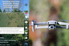 Heboh! Terungkap Penemuan 59 Titik Ladang Ganja di Bromo, Netizen: Pantesan Biaya Terbangin Drone Mahal