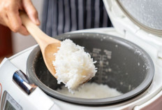 Review PHILIPS Digital Rice Cooker HD4515: Rice Cooker Multifungsi dengan 10 Mode Masak 